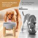 Raised Ceramic Large Dog Bowl - Heavy Weighted Dog Dish with Bamboo Stand - Elevated for Comfortable Feeding - 8.3" W x 8" H - 4.5 Cups (68 fl oz) - White