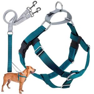 2 Hounds Design Freedom No Pull Dog Harness, Adjustable Harness and Leash Set, Easy Walking & Comfortable Control, Fits Small, Medium & Large Dogs, Solid Colors, Made in USA, 1" MD, Teal