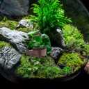 Model Miniature Wheelbarrow, 2pcs Wheelbarrow Miniature Gardening Box Dollhouse Barrows Simulation Cart Models for Action Figures Landscape Decoration