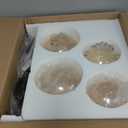 TD00145 Sputnik Chandelier Floor Lamp for Bedroom,4-Lights Glass Shade Floor Lamps for Living Room,Brass/Gold