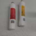 Watts Premier Annual RO Pure 2-Pack Filtration Kit for Zero/Pure Plus Reverse Osmosis System, Push Button Water Filter Replacement, 1 Sediment Filter, 1 Carbon Pre-Filter