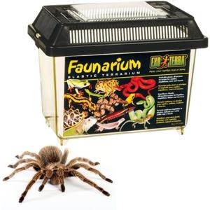 Exo Terra Faunarium Small PT2255 Plastic Reptile Terrarium and Transport Container for Lizards, Spiders & Amphibians