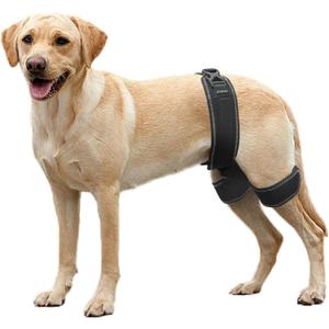 CHAMIN Dog Hip Orthotics Brace, Dog Hip Dysplasia Brace Harness, Support for Hip Dysplasia, Luxating Patella, Relieve Hip Pain, Prevent Hip Joint Diseases and Assisted orthopedics, (Large)