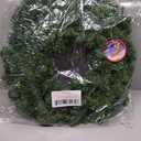 20" LED Northern Wreath | Lifelike Greenery | Indoor/Outdoor Use | Christmas & Holiday Dcor | Front Door Accent | Home & Office Display