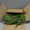 26 Inch Pine Wreath Christmas Wreaths for Front Door Real Touch Norfolk Pine Wreath Large Artificial Green Wreaths for Walls Windows Mantle Indoor Outdoor Home Decor with Red Berries Xmas Decorations