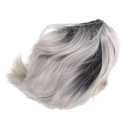 PartyKindom Cosplay Gradient Hair Wig for Parties Fake Hair for Halloween Bachelorette and Role-playing Events