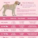 Dono Dog Diapers Female Large Breed-48PCS, Disposable Female Dog Period Diapers for Heart with Wetness Indicator, Super Absorbent Doggie Puppy Diapers Female for Small Medium Large Dogs