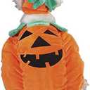 Amazon.com : Zack & Zoey Pumpkin Pooch Costume, Medium Orange : Pet Costumes : Pet Supplies