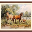 Art Shoppe Framed Print Wall Art, Vintage Wall Dcor for Living Room, Bedroom, Office, High-Resolution Image on Premium Art Paper, 3/4" Frame with Plexiglass Front, Ready to Hang, 17"x21" (Brown Foals)