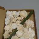 24 Pcs Sola Wood Craft DIY Flowers with Stems Ivory White Wooden Flowers for DIY Wedding Bouquet Centerpiece Bridal Shower Home Decoration