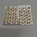 Viviscal Hair Growth Supplements For Women For Thicker, Fuller Hair, Nourishes Thinning & Loss, With Proprietary Collagen Complex, 60 Tablets, 1 Month Supply EXP 04/2028