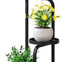 INGIORDAR Plant Stand Indoor Outdoor 4 Tier Metal Plant Shelf for Multiple Plants Corner Flower Holders for Living Room Balcony Bedroom Patio Garden, Black (Black, 4-Tier)