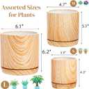 Dicunoy Set of 3 Ceramic Planters - 6"/5"/4" Cylinder Flower Pots with Drainage Holes and Saucers for Indoor, Outdoor, Garden, Cactus, Herbs, Snake Plants, Aloe Vera, All House Plants