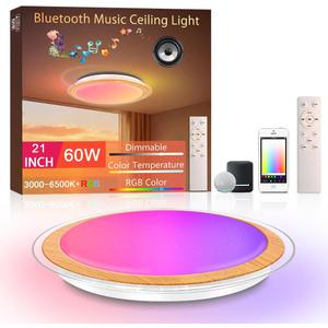 Led Flush Mount Ceiling Light with Bluetooth Speaker 21 Inch