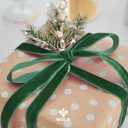 MEEDEE Hunter Green Velvet Ribbon 5/8 Inch Single Face Nylon Velvet Ribbon 25 Yards Velvet Green Ribbons for Christmas Tree, Ornaments, Gift Wrappig, Rustic Wreath, Invitations, Bouquet, Sewing Crafts