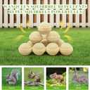 10 Pack Peppermint Oil Squirrel Repellent, Mouse Repellent Outdoor, Chipmunk Deterrent, Ground Squirrel Trap for Attic, Rodent Repellent for Garden