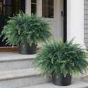 FOTEEWL Artificial Ferns Potted Plant for Front Door Decoration - 2 Sets UV Resistant Realistic Bush Faux Greenery Fern Potted Fake Plants for Home Garden Porch Farmhouse Decor