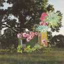 HOME EVERYWHERE by Medicine Vinyl