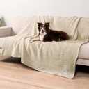 PetAmi Fluffy Waterproof Dog Blanket for Bed Large Dogs, Soft Warm Pet Sherpa Throw Pee Proof Couch Cover, Reversible Cat Blanket Sofa Crate Kennel Protector, Washable Mat (Beige Cream, 60x80)