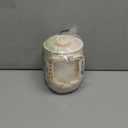 Stariver Portable Travel Kettle, 600ML Small Electric Kettle with Foldable Handle, Food Grade Stainless Steel Collapsible Water Boiler with Dual Modes, Compact Portable Kettle for RV, Camping, Beige