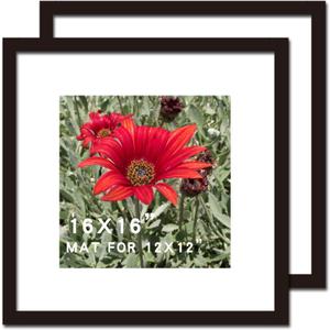 16x16 Picture Frame Black 2 Pack Solid Wood for Mat 12x12 Wall Mounting Square Poster Photo Frames (16x16 INCH)