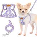Lukovee Puppy Harness and Leash Set, No Pull Lightweight Soft Suede Adjustable Pet Harness Vest with Snap Buckle for Puppy Dog (Purple-XS)