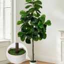 Artificial Fiddle Leaf Fig Tree 6FT - Large Fake Tree with White Planter, Tall Faux Ficus Lyrata Tree Floor Plants for Indoor Home Decor Office Living Room Housewarming Gift, 1Pack