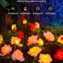 Brightown Outdoor Solar Garden Lights - 4 Pack LED Flower Lights with Realistic Rose, Bigger Solar Panel, Waterproof for Yard & Patio Decorations