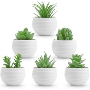 Der Rose 6 Pack Fake Plants Small Realistic Succulents Plants Artificial for Home Room Decor Indoor