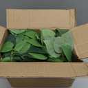 Alyptus Fake Pothos Hanging Plants 33" Set of 2 Faux Ivy Vines with Pots Realistic Silk Devils Ivy for Indoor Dcor Low Maintenance Artificial House Plants for Home Bathroom or Office - Green