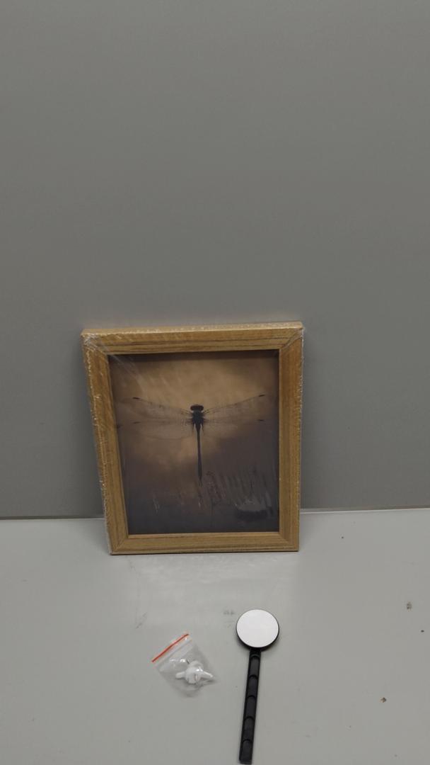 Vintage Gold Framed Wall Art Retro Dark Dragonfly Painting Canvas Prints Gothic Insect Picture Wall Decor Rustic Farmhouse Animal Poster Artwork for Living Room Bedroom Bathroom, 9x11in