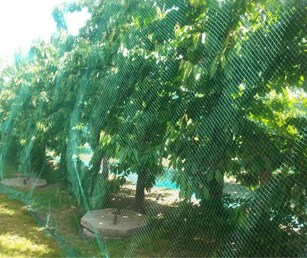13Ft x 33Ft Anti Bird Protection Mesh Garden Netting Seedlings Plants Flowers Fruit Trees Vegetables from Rodents Deer Reusable Fencing, Green