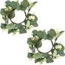 Eucalyptus Wreath 2 PCS Small Wreaths for Indoor 9.84 Inch Artificial Green Leaves Mini Wreath for Farmhouse Door Wall Window Party Wedding Decoration