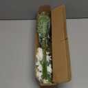 VIERENA Artificial Greenery Stems Box Set(Pack of 65pcs) with 8 Kinds of Faux Plants and Fake Flowers for DIY Wedding Bouquet Table Centerpieces and Floral Arrangement (Beige&Dusty Green)