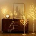 LITBLOOM Lighted Birch Garland Battery Operated with 8 Functions 48 Multi-Color and Warm White Lights, Pre-lit Twig Vine Lights 6FT for Home Bedroom Wall Mantle Decoration