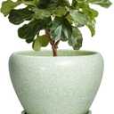10 Inch Planter - Ceramic Plant Pots for Indoor Outdoor Plants, Indoor Pots for Plants with Drainage Hole and Saucer, Round Planter, Room Decor, Gifts for Plant Lovers, Crackle Light Green
