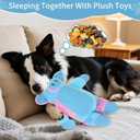 Dog Toys Plush, Squeaky Stuffed Dog Toy, Rainbow Pig Dog Toys for Small Medium Breeds, Soft Dog Plush Toy, Puppy Teething Dog Toy, Interactive Dogs Toy for Indoor Dogs(Blue)