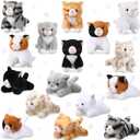 Leitee 16 Pcs Cat Stuffed Animals Bulk Party Favor 5 Inch Kitten Plush Toy Assorted Cute Cat Plush Stuffed Gift Small Fluffy Animal Toy for Birthday Adopt Pet Classroom Party Favor(Lovely Style)