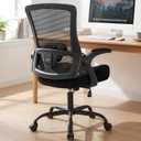 NEO CHAIR Office Chair High Back Desk Mesh Chair Comfy Computer Gaming Seat with Adjustable Ergonomic Lumbar Rolling Flip-up Armrests and Wheels (Black)