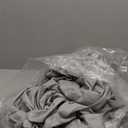 Amazon Basics Lightweight Super Soft Comfortable Breathable Wrinkle Resistant Microfiber 4 Piece Bed Sheet Set with 14-Inch Deep Pockets, Queen, Light Gray, Solid