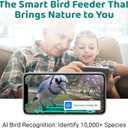 Happy Birdy Smart Bird Feeder with Camera - 2.5K HD Video, Wild Bird Feeder with Wall Mount & Pole Strap Kit, Free AI App IDs 10K+ Birds, Solar Power Panels, Infrared Night Vision, Weatherproof IP67
