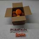 17 Pack Fall Artificial Velvet Pumpkins Decorations, Foam Faux Flocked Pumpkin Including Wooden Hello Pumpkins Sign, for Home Autumn Harvest Theme Party Halloween Thanksgiving Table Decor. (Orange/Coffee/Dark Brown)