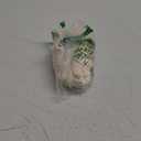 SOLY HUX Women's Sweat Shorts Casual Summer Elastic High Waist Running Lounge Shorts with Pockets (Pure Beige) XS