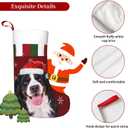 Christmas Bernese Mountain Dog Christmas Stockings Personalized Hanging Stocking Decorations for Family Xmas Holiday Party (One Size)