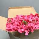 Yunsailing 100 Pcs Artificial Hydrangea Flowers Hydrangea Flower Heads with Stems Silk Faux Hydrangea Flowers for Wedding Centerpiece Fake Bouquet Home Indoor Garden Party Decoration (Rose Red)