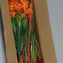 Dolicer 12 Bundles Artificial Flowers for Outdoors, UV Resistant Outdoor Artificial Flowers, Fake Outdoor Plants Flowers for Home Planter Porch Patio Window Outdoor Spring Summer Decor (Orange Mixed)