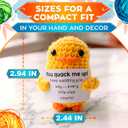 6 x Positive Crochet Duck, Keep Waddling Your Way Handmade Mini Duck Crochet Animal with Inspirational Affirmation Card, Cute Desk Decor Graduation Ducks Gift for Women Men Mom Daughter Coworker Bday