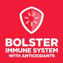 Hill's Science Diet Kitten Dry Cat Food, Chicken, 3.5 lb. Bag (3.5 Pound (Pack of 1))