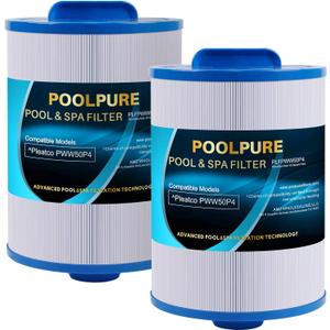 POOLPURE Replacement Filter for PWW50P4, 1 1/2" MPT Thread Screw in Filter(FINE Thread), 45 sq.ft,2 Pack NOT PWW50P3, NOT Coarse Thread