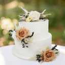 Rinlong 3Pcs Pre-made Boho Cake Toppers Pampas Cake Decorations Birthday Wedding Cake Decorating Flowers Baptism Decor for Women Girls (Beige & Almond)